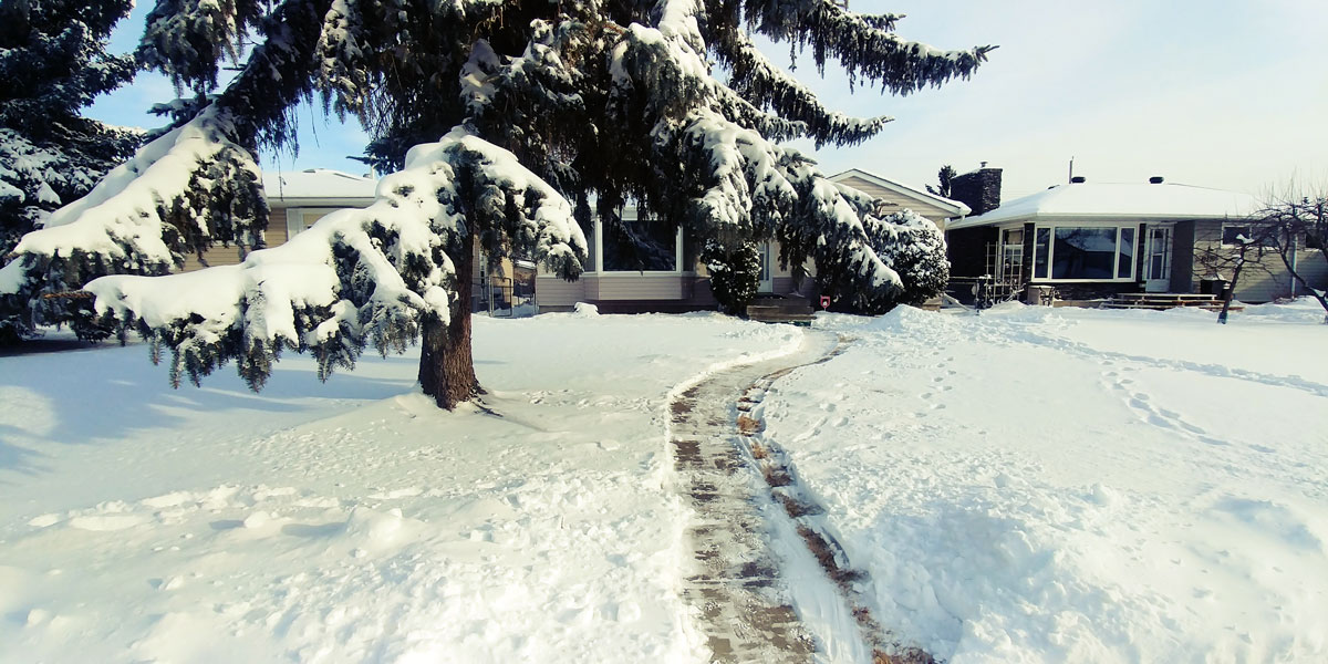 snow