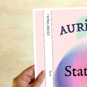 Auricle in transit_2023_Stories by station (1)